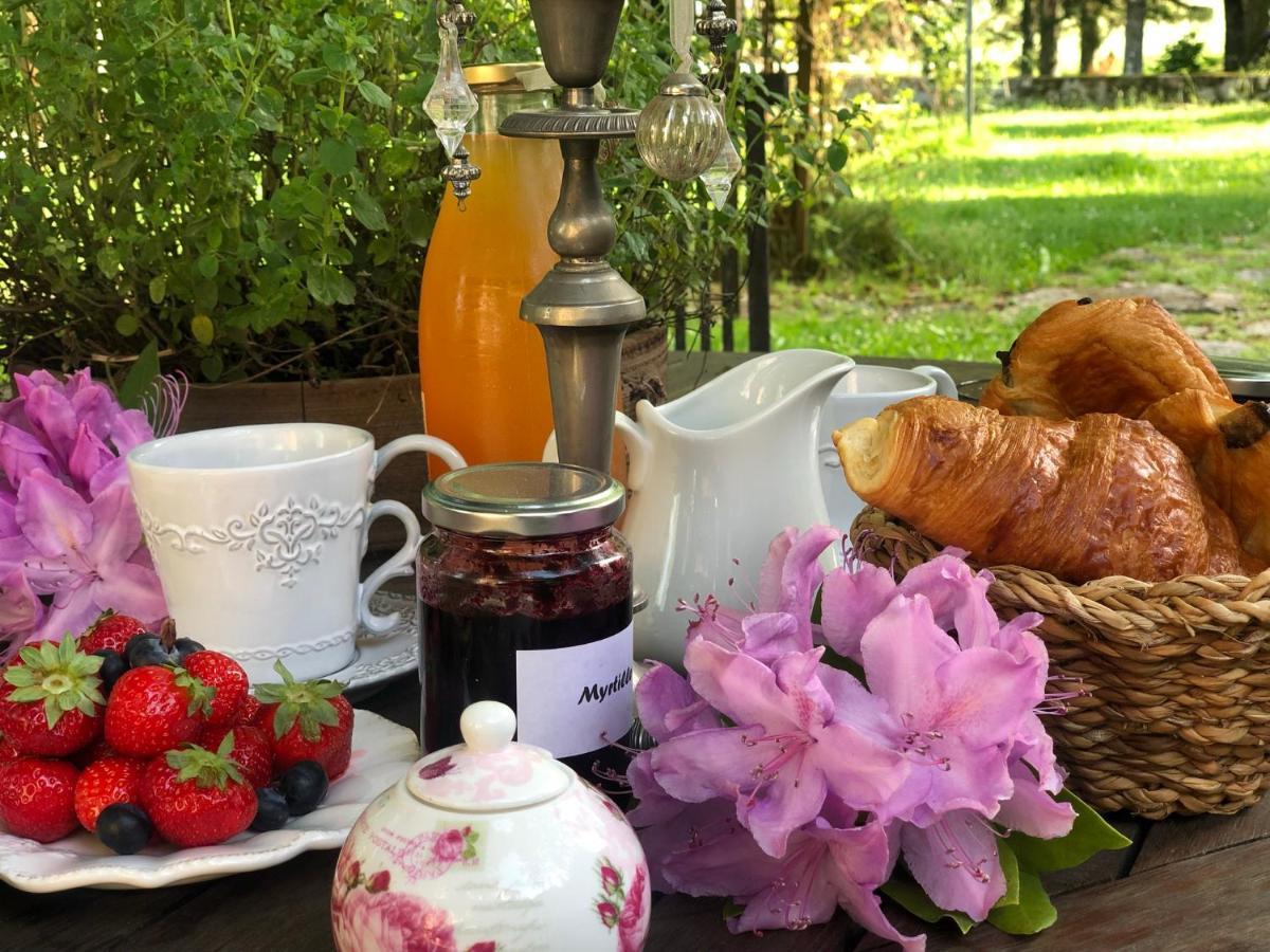 Manoir De Chantemerle Sainte-Fortunade Zewnętrze zdjęcie